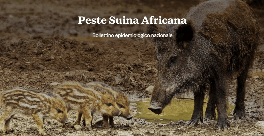 Pubblicazione del Bollettino epidemiologico nazionale inerente alla Peste Suina Africana – PROROGA